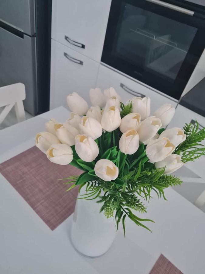 Sweet Home Sfintu Ilie Zewnętrze zdjęcie